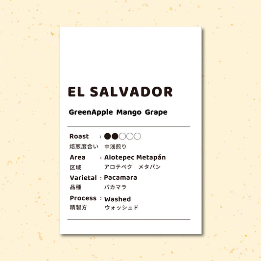 【中浅煎り】エルサルバドル  パカマラ ウォッシュド
